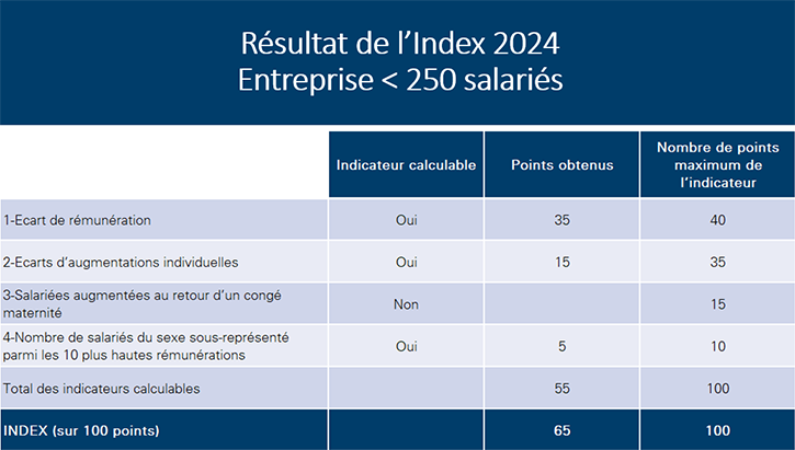 Index d’égalité professionnelle entre les femmes et les hommes Février 2024